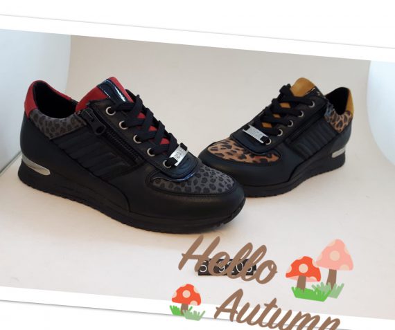 Het nieuwe model van Bibob is binnen!