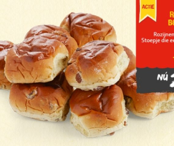 Mini rozijnenbollen 10 voor 2,50