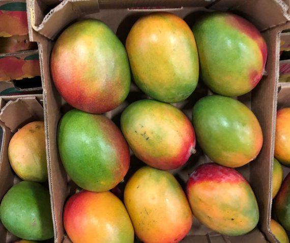 De lekkerste mango’s uit Midden-Nederland!