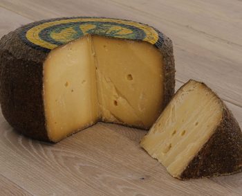 ROMERO, GERIJPT IN DE ROZEMARIJN, UIT IJSSELSTEIN