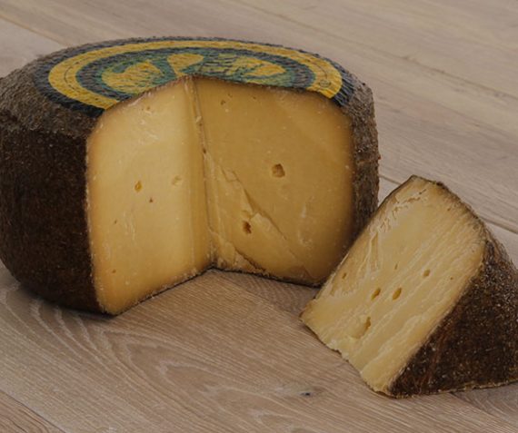 ROMERO, GERIJPT IN DE ROZEMARIJN, UIT IJSSELSTEIN