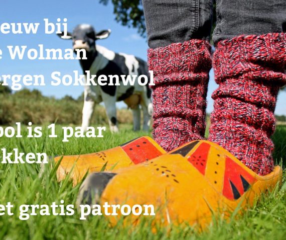 Bergen Sokkenwol