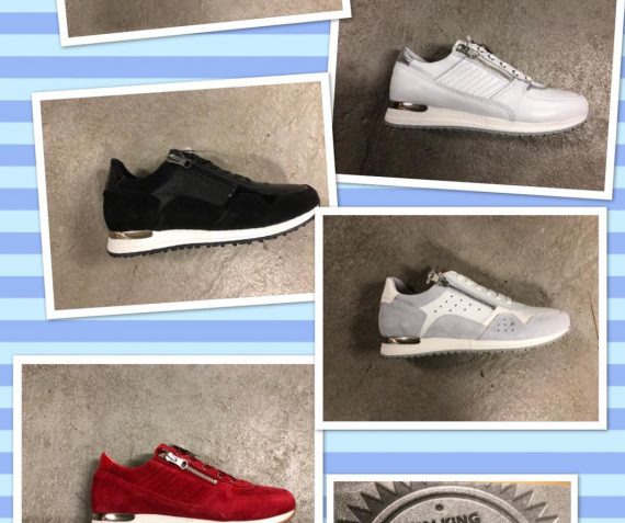 Nieuwe collectie Bibob