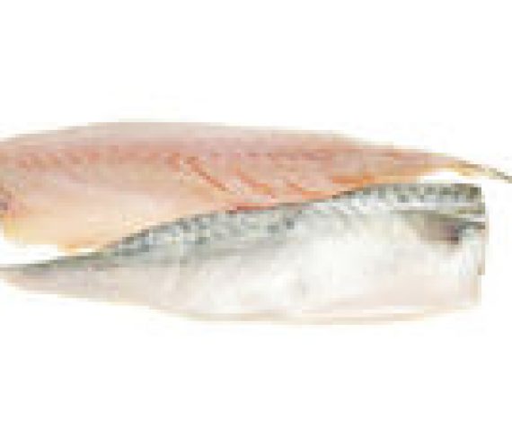 Verse makreelfilet