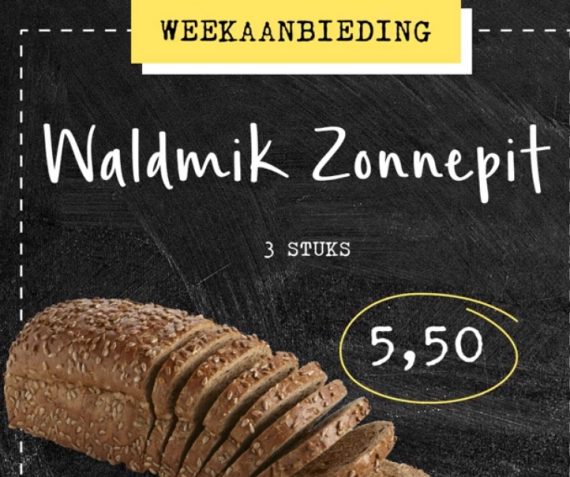 Waldmik zonnepit 3 stuks 5,50