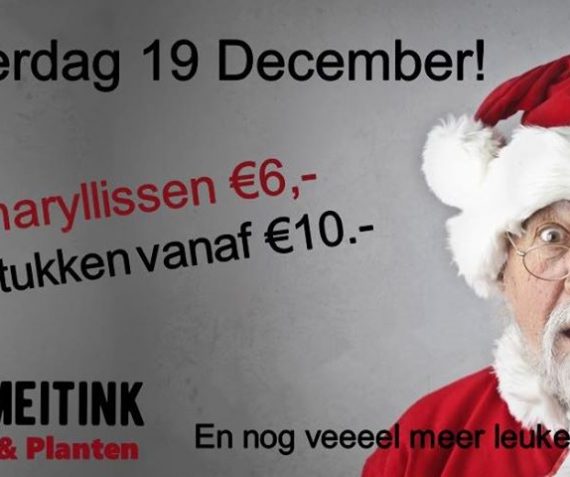 Amaryllissen en kerststukken!
