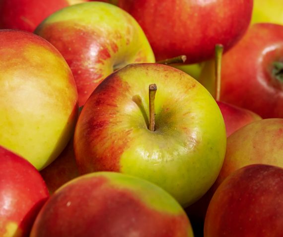 2 Kilo Elstar voor kinderen, 3e kilo GRATIS!