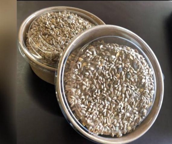 Haver crackers 5 stuks 5,00