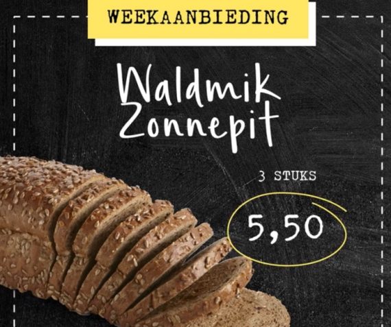 Waldmik zonnepit 3 stuks 5,50