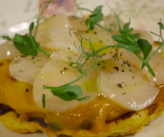 Jacobsschelpen (coquilles)