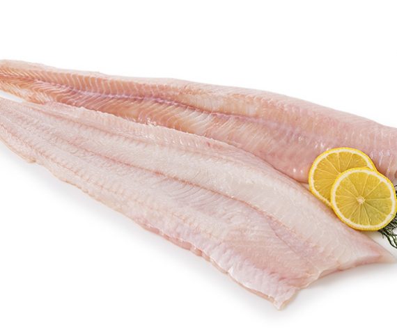 Zeewolffile 500gram €7,50