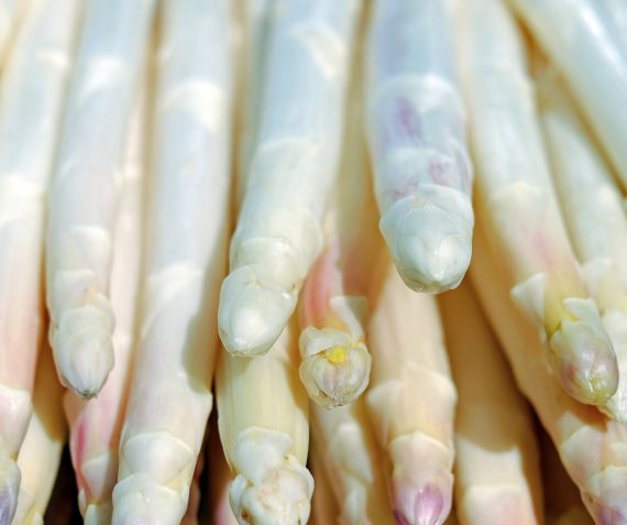 Mooie asperges