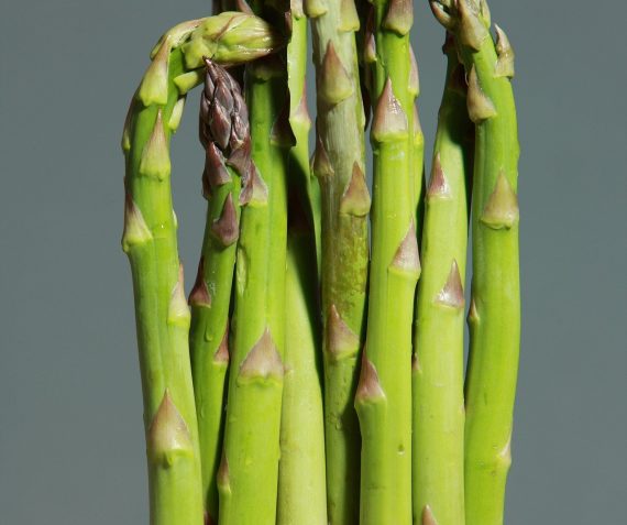 Super asperges (verschillende prijzen)