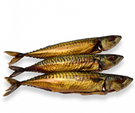 Dikke gerookte makreel