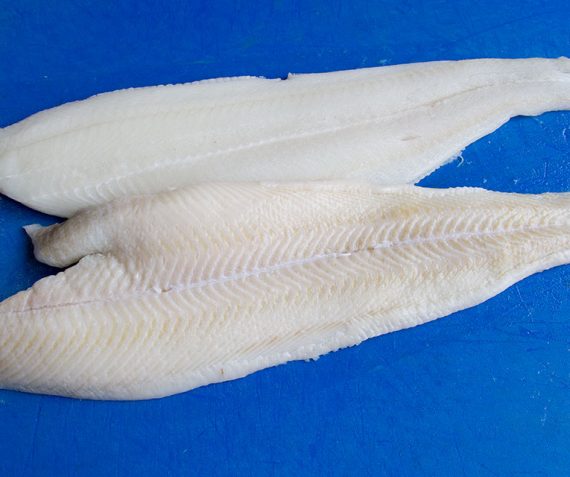 Heilbotfilet