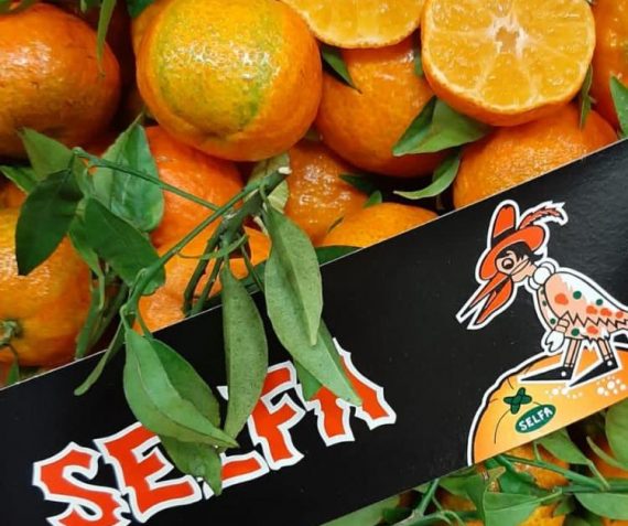 Mandarijnen, blauwe bessen en sinaasappels!