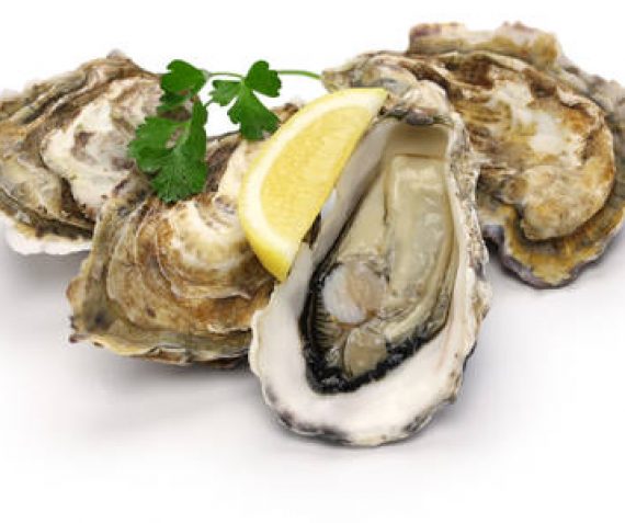 Oesters