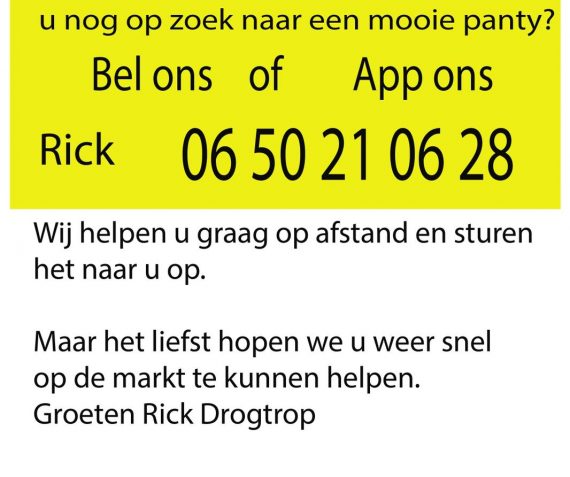 Koude voeten of nog op zoek naar een mooie panty?