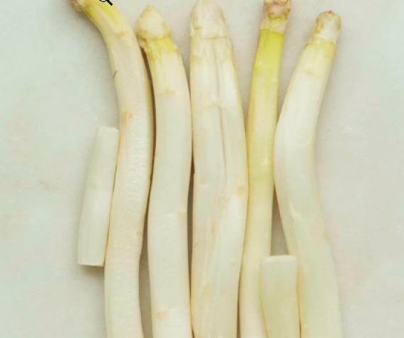 Hollandse aspergers €9,99 kilo.