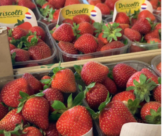 Hollandse aardbeien – twee dozen (500gram) voor €4,50
