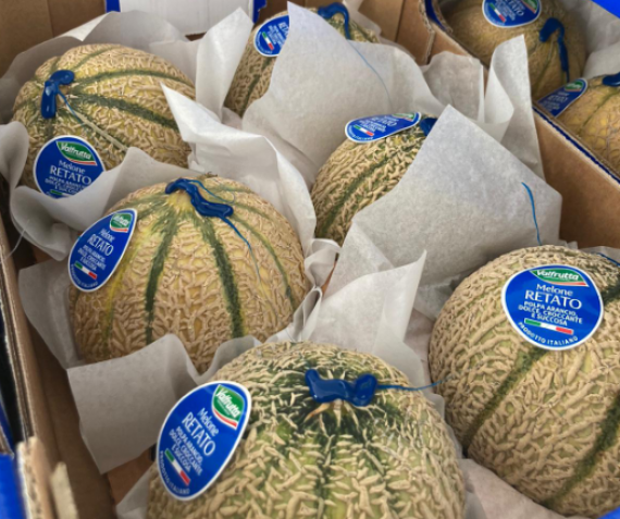 Cantaloupe meloen – extra zacht en zoet – twee stuks voor €2,50