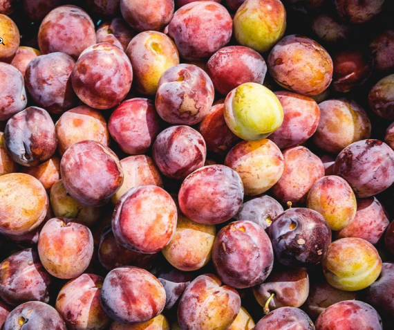 Ze zijn er weer! Hollandse Opal pruimen €4,50 per kilo