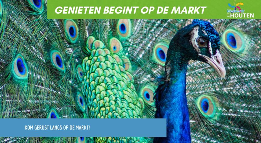 De waarde van de markt voor de stad