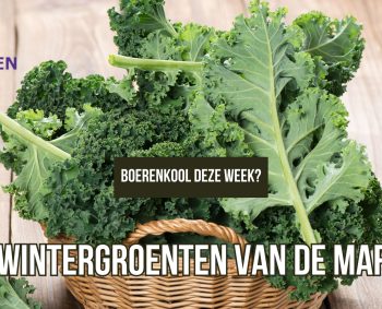 Winter op de markt: volop keuze in winter- en opslaggroenten