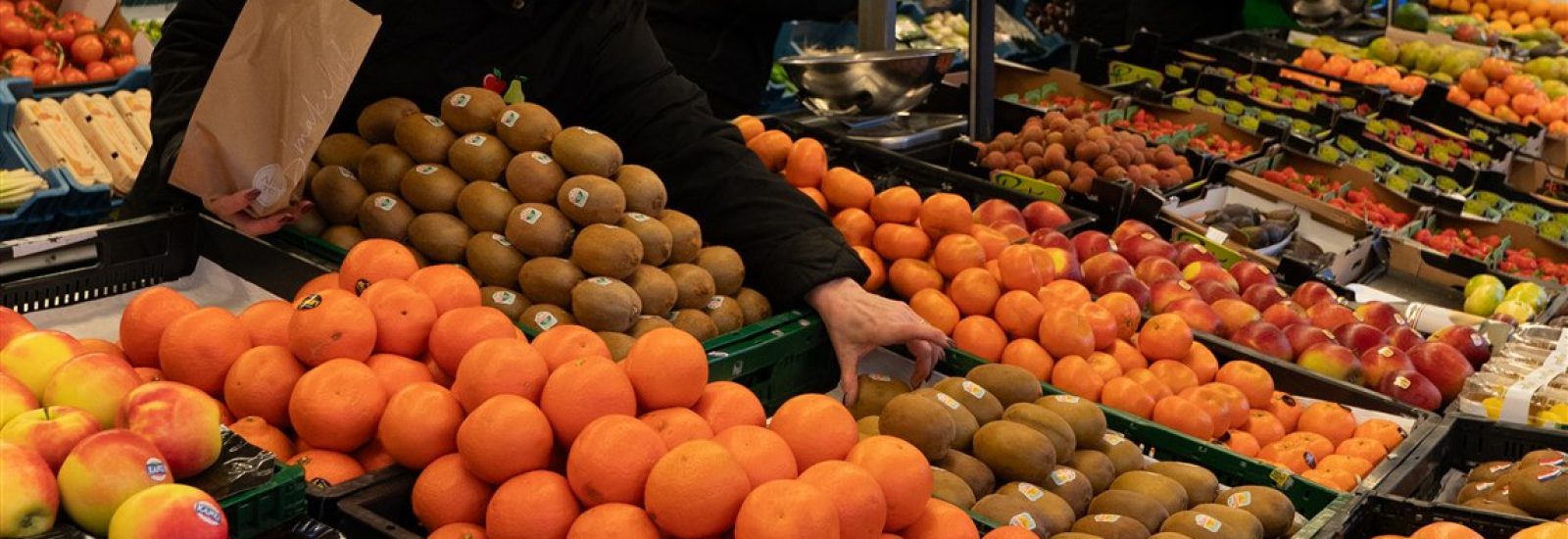 Diverse soorten mandarijnen, zuurkool en boerenkool!