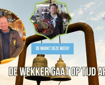 Terwijl jij nog slaapt, begint hun dag al