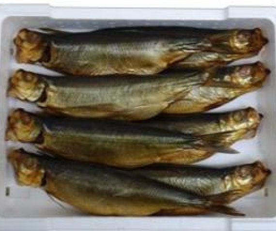 Gerookte spekbokking