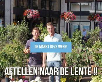 Aftellen tot de lente