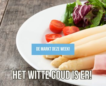 Van land tot bord: zo beleef je de asperge écht