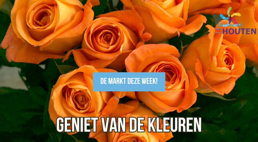 “Lekker toch! Wat meer kleur in huis!”