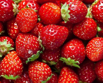 Acties van de week