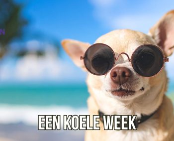 Een koelere week op komst?