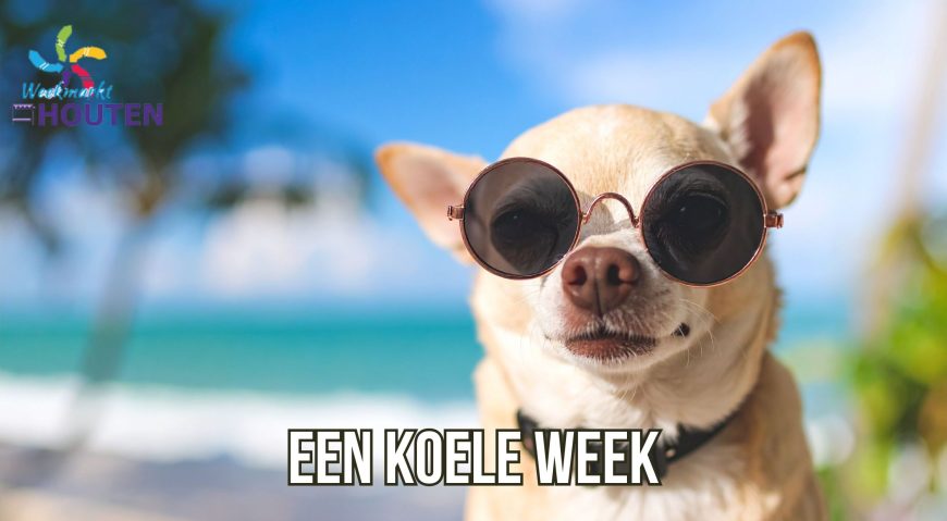 Een koelere week op komst?