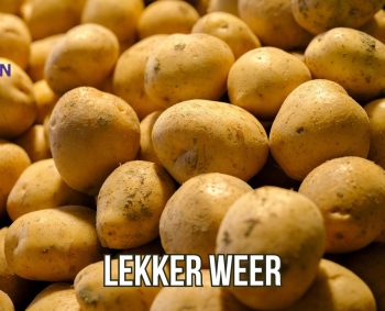 Heb jij de vakantie al gepland?