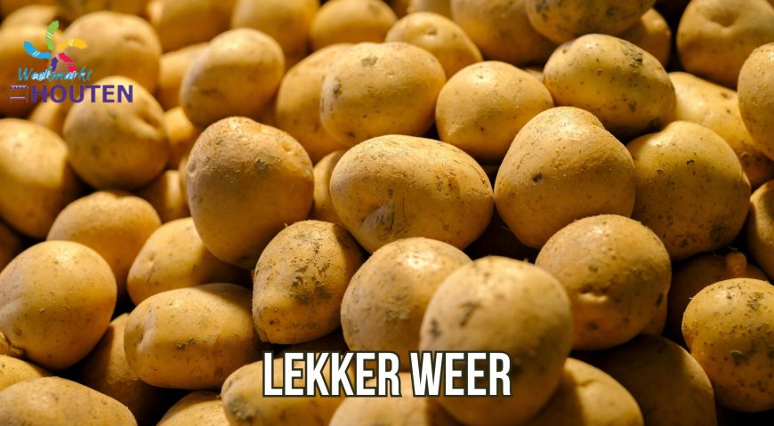 Heb jij de vakantie al gepland?