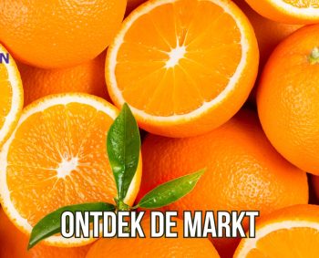 Alles voor een zomers dagje uit vind je op de markt
