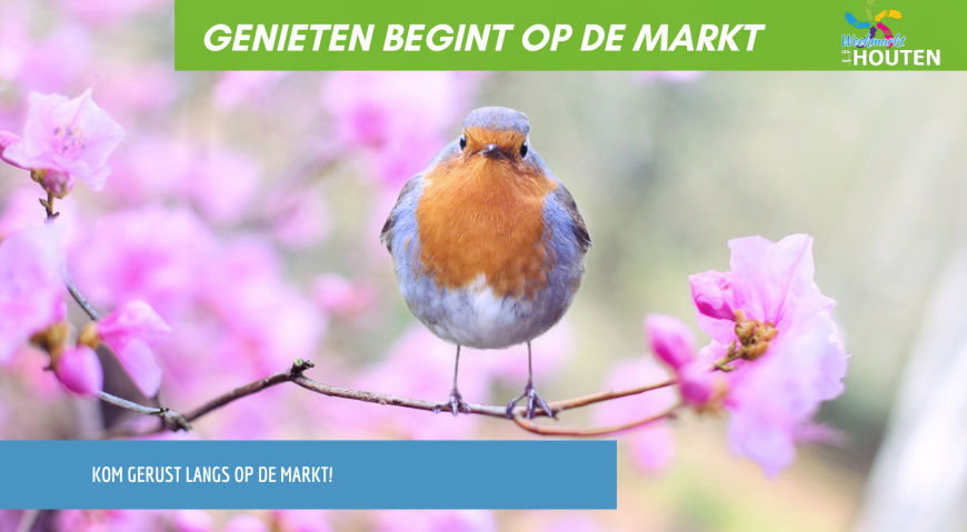De eerste lenteprikkels: tijd om naar de markt te gaan!