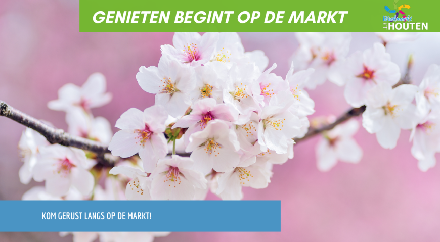 Voorjaar in huis en tuin: tijd voor bloemen en groen!