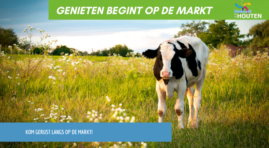 🌱 Graskaas! Het Voorjaar Proef je op de Markt
